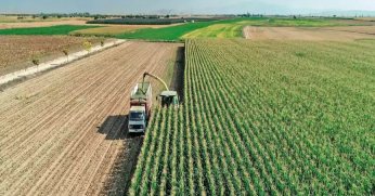 TÜİK genel tarım sayımına başladı