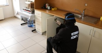 Okullarda ilaçlama çalışmaları yapıldı