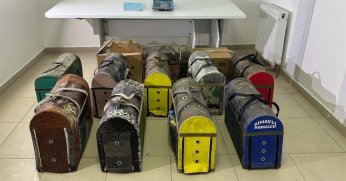 Horoz dövüşüne  jandarma baskını