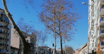 Eğilen direğe düzeltme gerekiyor