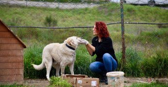 Bakıma muhtaç can dostlara sahip çıkıyor