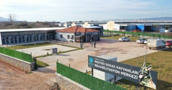 Bir yılda 3 bin 200 sokak hayvanına şifa olan merkez