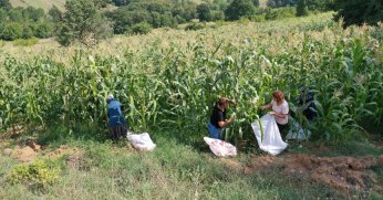 Desteklerle atıl araziler tarıma kazandırılıyor