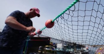 Balıkçılıkta av sezonu yarın sona eriyor