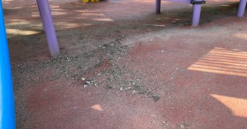 Parktaki kirlilik giderilmeli