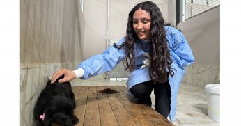 Gönüllü üniversiteliler, can dostlar ile buluştu