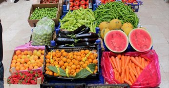 Bu yıl meyve ve sebze üretiminde artış bekleniyor