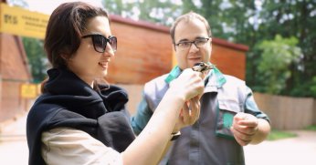 Ormanya “Tür Say” etkinliğinde 462 gözlem