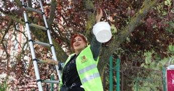 Dalından topladılar, sevgilerini de kattılar 