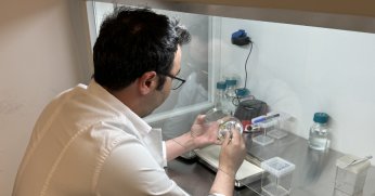 Koruma altındaki bitkiler  laboratuvarda çoğaltılıyor