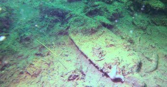 Deniz tabanındaki kirlilik su altı çekiminde görüntülendi