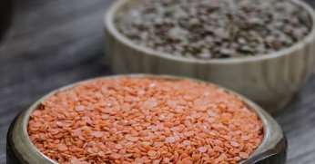 2024 hububat alım  fiyatları belli oldu