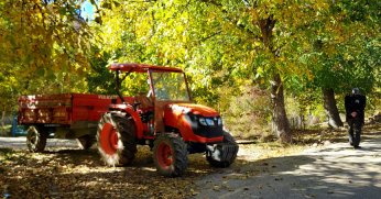 Doğu’nun bitkisel üretim karnesi   
