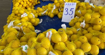 Limon fiyatında yükseliş görülüyor