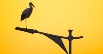 140 bin LED armatürle 82 milyon lira tasarruf yapıldı