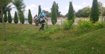 Yeşil alanlarda düzenli temizlik
