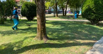 Yeşil alanlarda bakım yapıldı