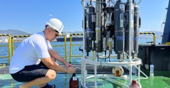 Deniz ekosistemi hayat buluyor