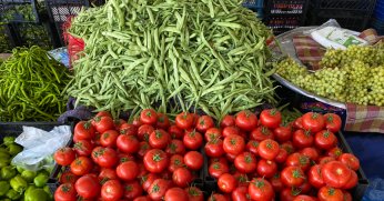 Yeşil fasulye ve domatese ilgi arttı