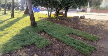 Toprak alanlar yeşile dönüşüyor