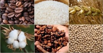 Emtia piyasasında düşüş eğilimi etkili oldu