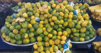 Yeni sezonun ilk mandalinası tezgahlarda