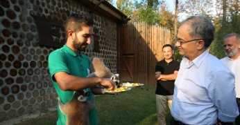 ‘Ormanya marka yönetiminin en güzel örneği’