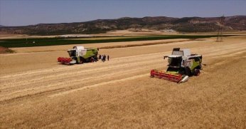 TMO hububat  satışlarına başladı