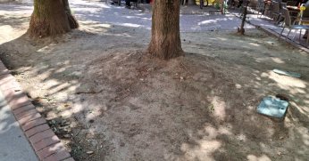 19 Mayıs Caddesi’ne yeşil alan isteniyor