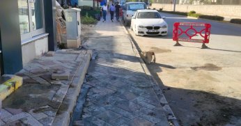 Kaldırımlara bakım yapılıyor