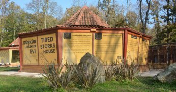 Yorgun leyleklere özel misafirhane