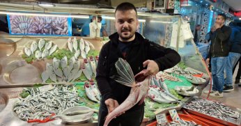 Hamsi ve palamut fiyatları aynı kaldı