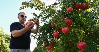 Türkiye’den 9 ayda 1 milyar 160 milyon dolarlık meyve ihracatı