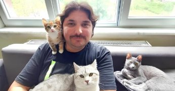 ’Evcil hayvanlar kazanç kapısı olarak görülmemeli’