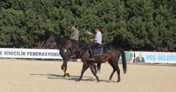 Atlar emekliliklerinde eğitime hizmet ediyor