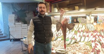 ‘Palamut yerini hamsi ve çinekopa bıraktı’