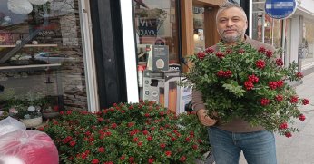 Yeni yılın habercisi çiçekçilerde yerini aldı