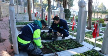 Şehit mezarları çiçeklerle donatıldı