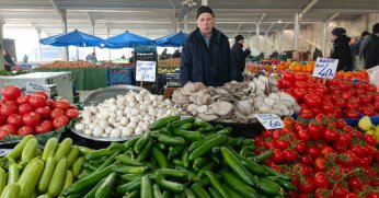 Pazarda salatalık fiyatı düşüşe geçti