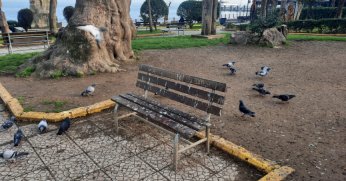 Değirmendere’deki banklara çözüm gerekli