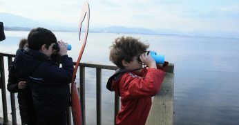 Düzenlenen şenlikte kuşları gözlemlediler