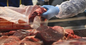 Kırmızı et sektörü Ramazan ayında fiyat artışı beklemiyor