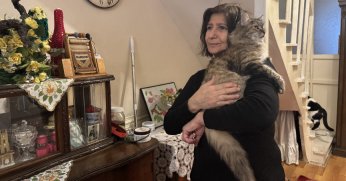 Hayvan sevgisini, evinden sokağına taşıyor