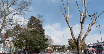 Yeni haftada kar yağışı beklenmiyor