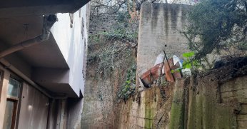 Budadığı ağaçtan düşerek yaralandı