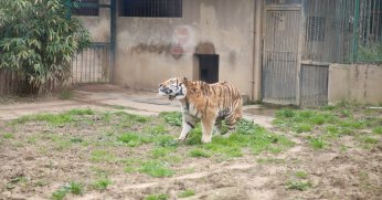 Hayvanat bahçesi, bayramda ziyaretçilerini bekliyor