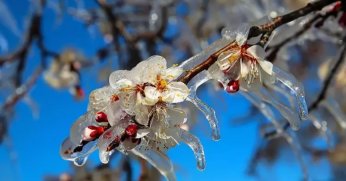 Valilik’ten zirai don uyarısı