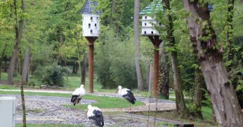 Bayram tatilinde tercih Ormanya oldu