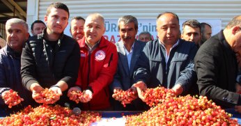 İlk kirazın kilosu 3 bin 500 TL’den satıldı