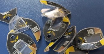 Sahte altın dolandırıcılığına suçüstü